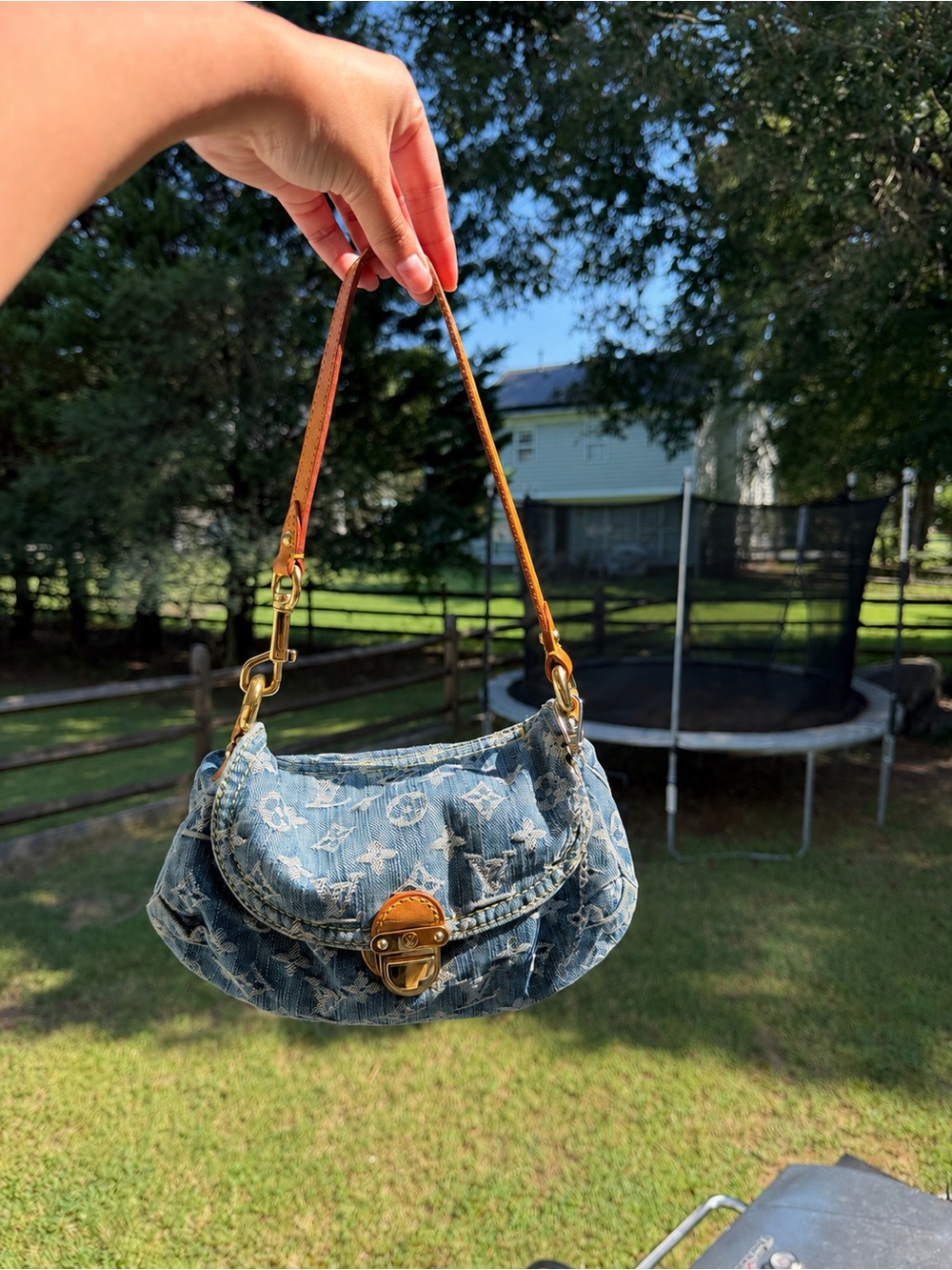 Louis Vuitton monogram pleaty bag